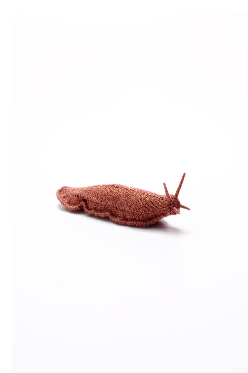 Lumaca