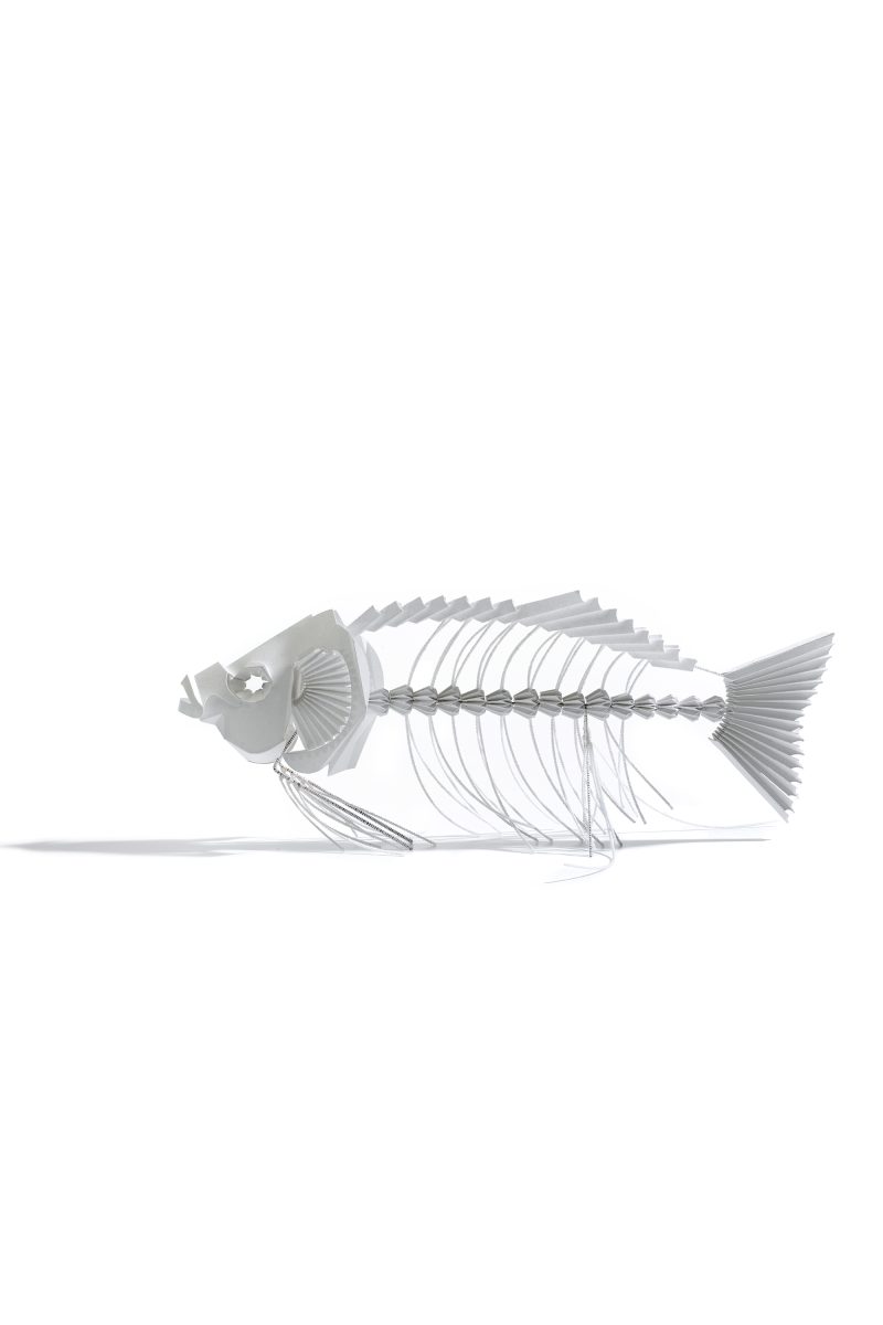 Pesce_